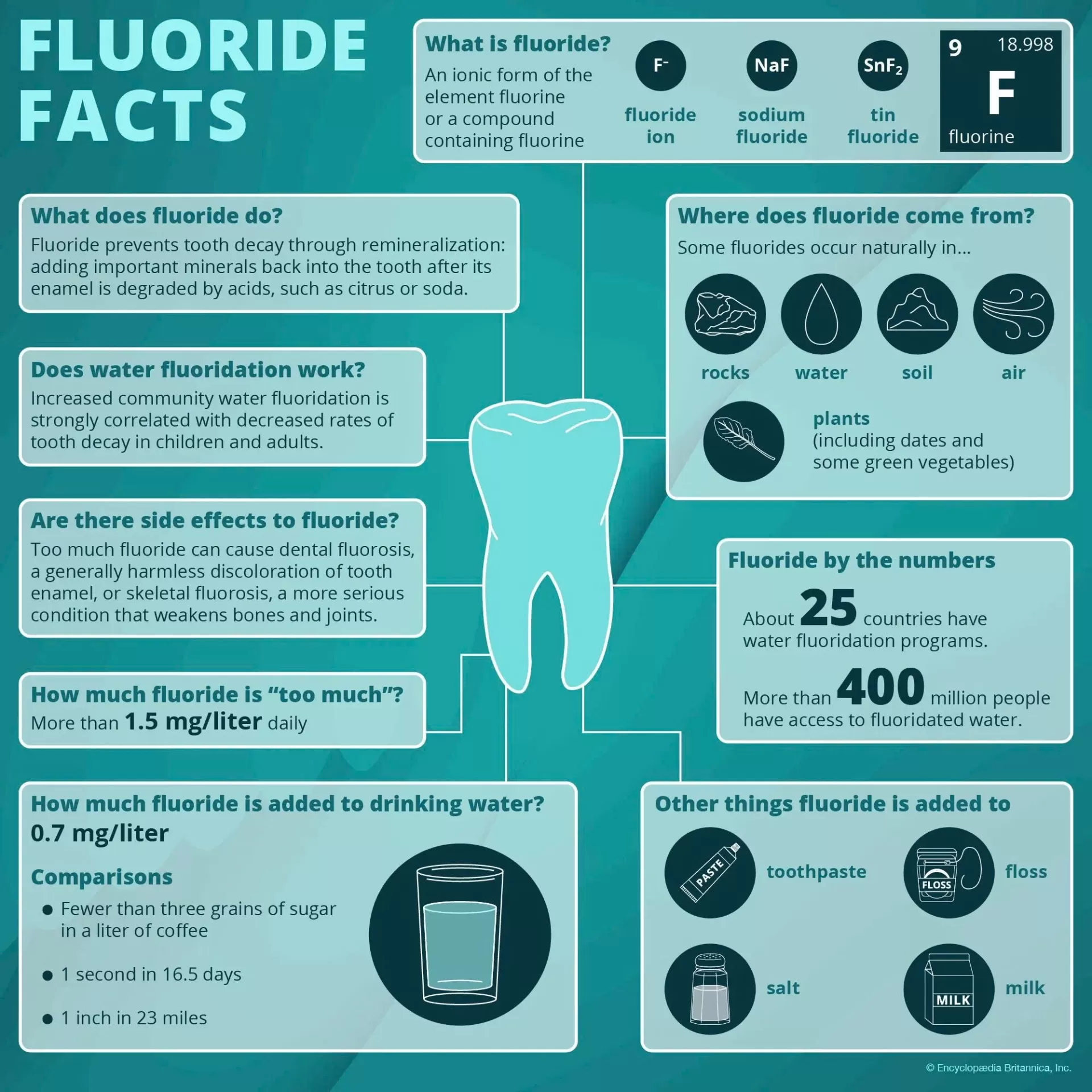 Fluoride là gì? Công dụng, tác hại và vai trò quan trọng trong chăm sóc răng miệng